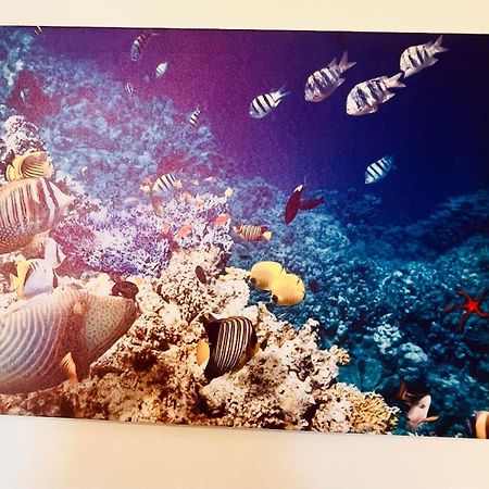 Casa Vacanza Cuto バゲリーア エクステリア 写真